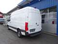 Mercedes-Benz Sprinter 317 CDI RWD 9G-Tronic L2H2 / AHK 3500 KG Weiß - thumbnail 8