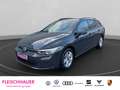 Volkswagen Golf VIII Variant 2.0TDI Life Navi+AHK+CarPlay+ACC+LED Grau - thumbnail 1