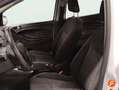 Ford Ka/Ka+ Black & White Ed. 1.2 Duratec A.-St.-St. Blanco - thumbnail 10