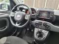 Fiat Panda 1.0 Hybrid City Life | APK | 73.000KM | AIRCO | Grijs - thumbnail 16