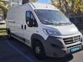 Fiat Ducato 35 2.3 Multijet Chasis Cabina Medio 130 Blanco - thumbnail 5