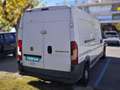 Fiat Ducato 35 2.3 Multijet Chasis Cabina Medio 130 Blanco - thumbnail 6