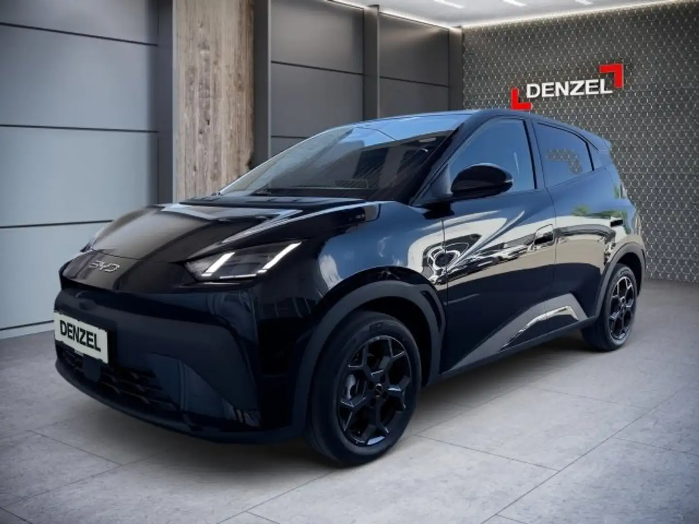 BYD Dolphin Surf Comfort Czarny - 1
