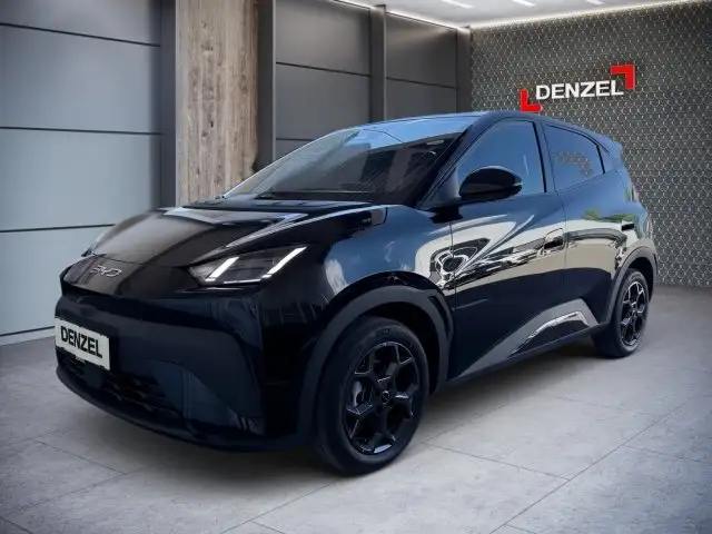 BYD Dolphin Surf Comfort