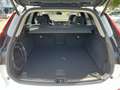 Volvo XC60 T8 Plug-in hybrid AWD Ultimate Dark | Panoramadak Weiß - thumbnail 14