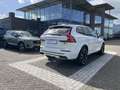 Volvo XC60 T8 Plug-in hybrid AWD Ultimate Dark | Panoramadak Weiß - thumbnail 20
