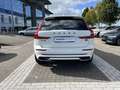 Volvo XC60 T8 Plug-in hybrid AWD Ultimate Dark | Panoramadak Weiß - thumbnail 12