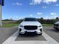 Volvo XC60 T8 Plug-in hybrid AWD Ultimate Dark | Panoramadak Weiß - thumbnail 22