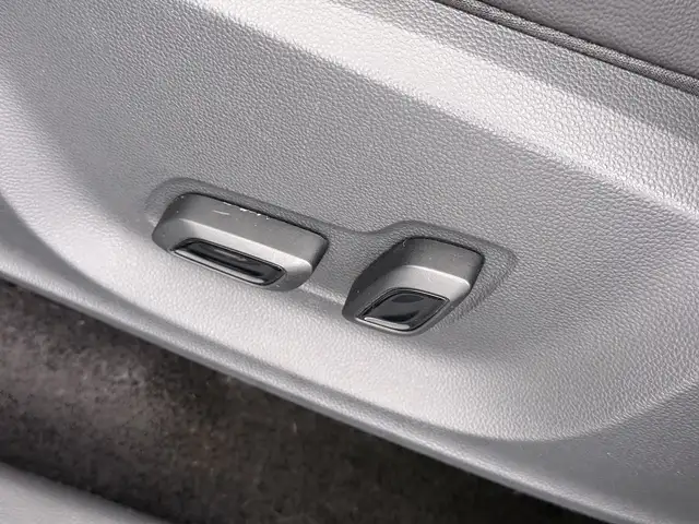 MG ZS view 28