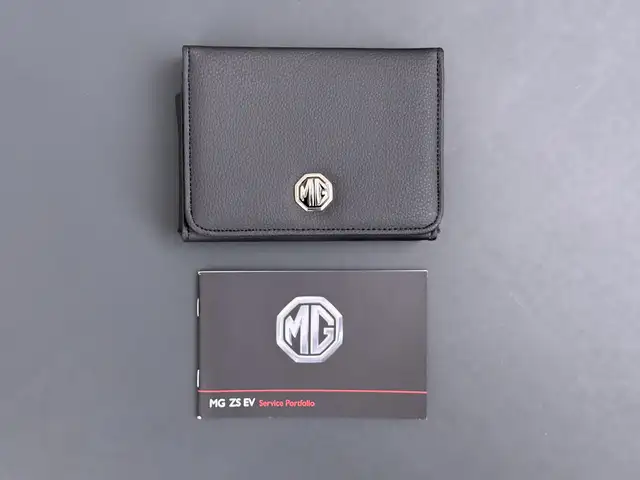 MG ZS view 21