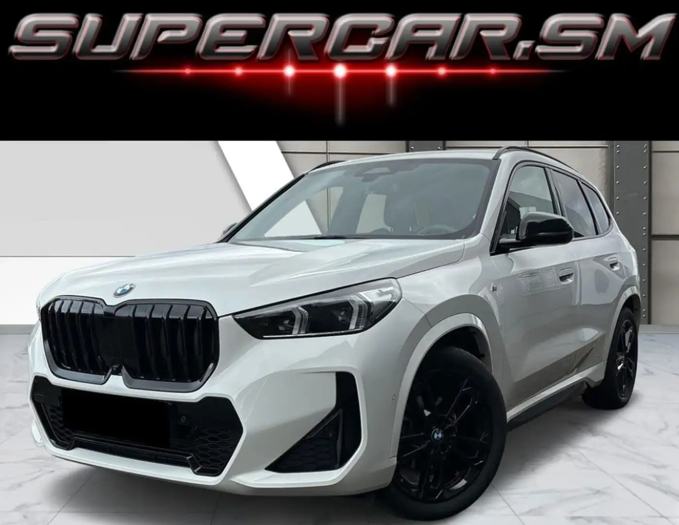 BMW X1 20d xDrive MSPORT 19 360° BLACK ACC HEAD UP Wit - 1