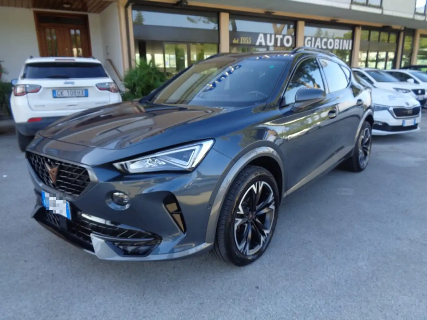 CUPRA Formentor 2.0 TDI 4Drive DSG Gris - 1