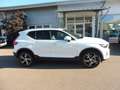 Volvo XC40 B3 Core 2WD Weiß - thumbnail 3