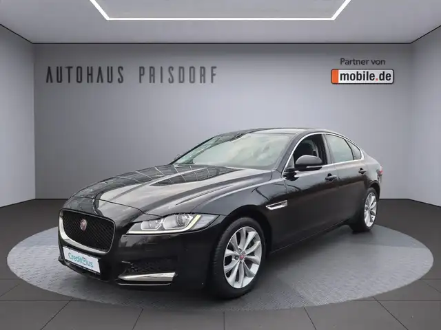 Jaguar XF Prestige Leder/Bi-Xenon/Automatik/Navi/RFK