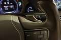Lexus LS 500 h Executive 4x4 360cv Schwarz - thumbnail 41