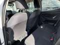 Toyota Yaris 1.000 Benzina 72 CV **Per Neopatentati** Blanc - thumbnail 18