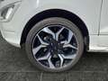Ford EcoSport 1.0 ST-Line S&S *NAVI*SHZ*LHZ*PDC*RFK* Schwarz - thumbnail 15