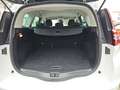 Renault Scenic Grand Equilibre Kamera, RATE 196,- Weiß - thumbnail 14