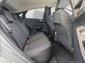 Ford Comfort / Komfort Paket / Keyless Argintiu - thumbnail 14