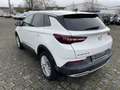 Opel Grandland X 1.2 Turbo Dynamic PDC/RFK Wit - thumbnail 23