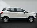 Ford EcoSport 1.0 EcoBoost TREND Blanc - thumbnail 3