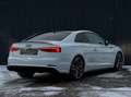 Audi S5 COUPE QUATTRO MATRIX/VIRTUAL/CARBON/NAPPALEDE Blanc - thumbnail 5