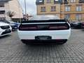 Dodge Challenger 6.4 L V8 R/T* Scat Pack Wit - thumbnail 11