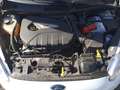 Ford Fiesta ST 182CV SENS PARK PACK SPORT 1-2 VETRI SCURI Weiß - thumbnail 13