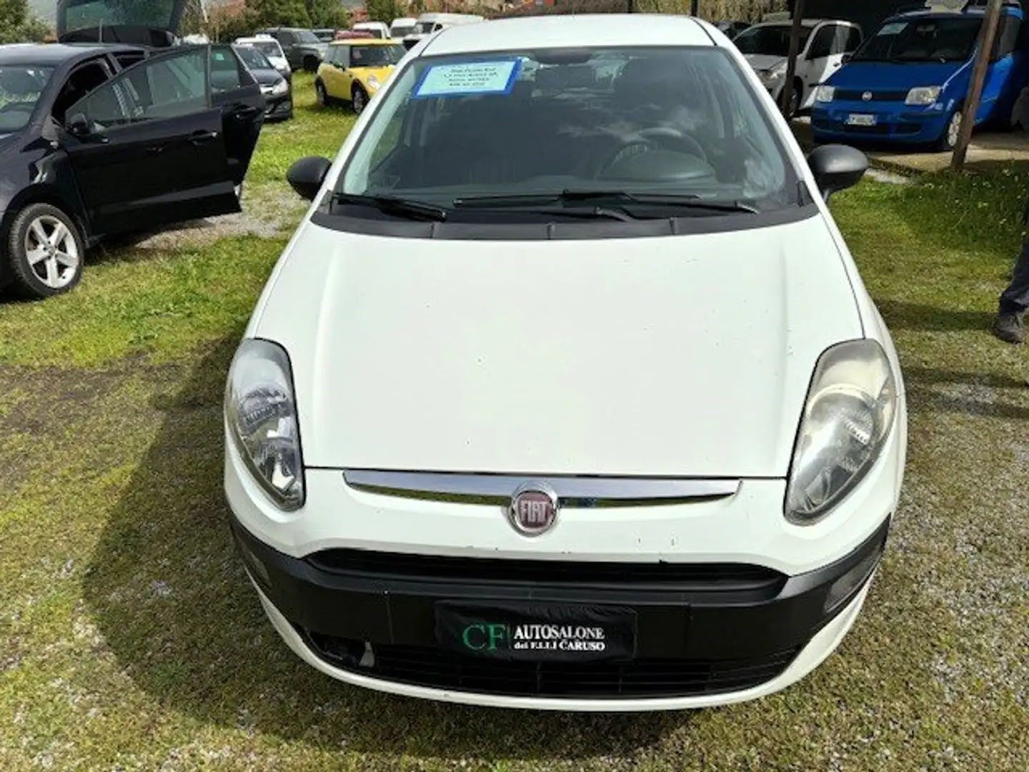 Fiat Punto Evo Punto Evo 5p 1.4 Active s Bianco - 2