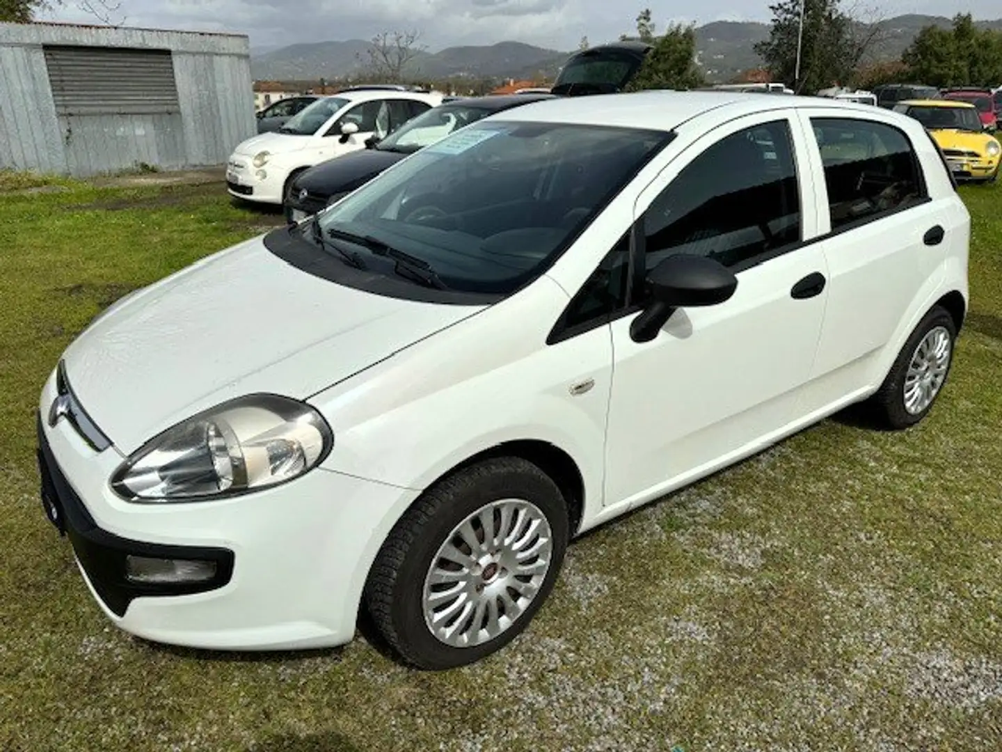 Fiat Punto Evo Punto Evo 5p 1.4 Active s Bianco - 1