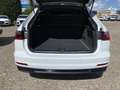 Audi A6 sport 40 TDI quattro 150(204) kW(PS) S Wit - thumbnail 14