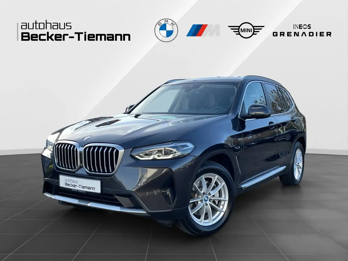 BMW X3 xDrive30e / Panorama / RFK / HiFi / Sportsitze Grau - 1