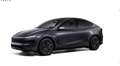 Tesla Model Y Long Range Dual AWD Grau - thumbnail 1