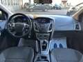 Ford Focus Ford Focus 1.6 TDCi 115 CV SW Titanium Neopatentat Azul - thumbnail 16