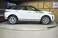Land Rover Range Rover Evoque 2.0 D163 AUTO 4WD MHEV Blanc - thumbnail 20