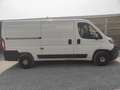 Fiat Ducato 33 2.3 MJT 140CV PM-TN Furgone Bianco - thumbnail 8