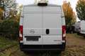 Opel Movano 2.2 D L3H2 2WD VA verstärkt Edition Weiß - thumbnail 10