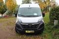 Opel Movano 2.2 D L3H2 2WD VA verstärkt Edition Weiß - thumbnail 5
