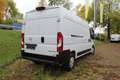 Opel Movano 2.2 D L3H2 2WD VA verstärkt Edition Weiß - thumbnail 9
