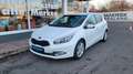 Kia Ceed / cee'd Ceed 1,6 GDI Dream Team *Navi*SHZ*RFK Alb - thumbnail 1