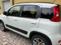Fiat Panda Panda 4x4 1,3 Multijet II 75 4x4 Italia Italia Weiß - thumbnail 5