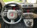 Fiat Panda Panda 4x4 1,3 Multijet II 75 4x4 Italia Italia Weiß - thumbnail 8