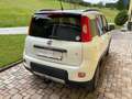 Fiat Panda Panda 4x4 1,3 Multijet II 75 4x4 Italia Italia Weiß - thumbnail 4