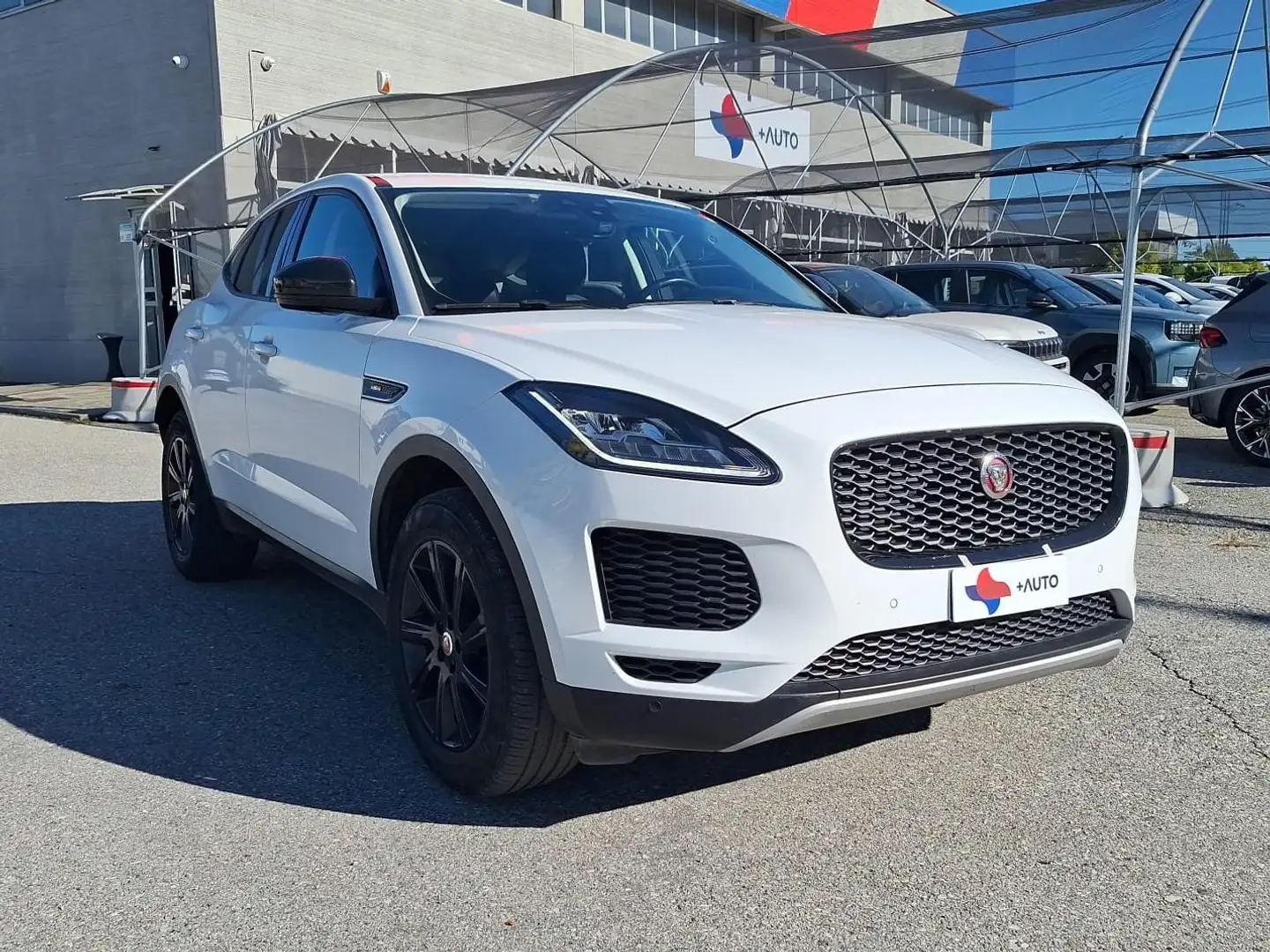 Jaguar E-Pace E-Pace 2017 2.0d i4 S awd 150cv auto my19 Bianco - 1