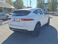 Jaguar E-Pace E-Pace 2017 2.0d i4 S awd 150cv auto my19 Bianco - thumbnail 7