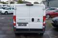 Fiat Ducato Kasten 33 140 L1H1*NAV*KAM*STANDHZG*SX* Bianco - thumbnail 5