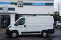 Fiat Ducato Kasten 33 140 L1H1*NAV*KAM*STANDHZG*SX* Bianco - thumbnail 2