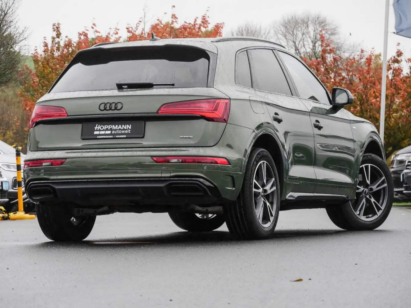 Audi Q5 S-Line 40 TDI 2.0 quattro Matrix Navi Kamera Grün - 2