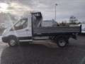 Ford Transit 350 tr.post. 2.0 tdci 130cv trend L2 r.gem.  RIBAL Bianco - thumbnail 3