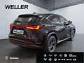 Lexus E-FOUR *Bi-LED*el Sitze*CAM*SHZ*ACC*PDC Schwarz - thumbnail 19